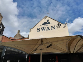 Swan outside