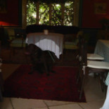 Le Rendez-vous Des Pêcheurs Essen