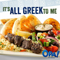 Opa! of Greece food