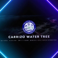 Carrizo Water Tree food