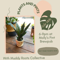 Molly's Pint Brewpub outside