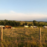 Le Relais De La Foret Roselyne Exterior