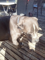 Les 7 Sources Dentro