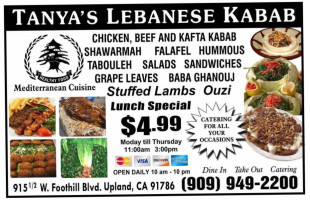 Tanya’s Lebanese Kabab food