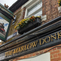 Marlow Donkey outside