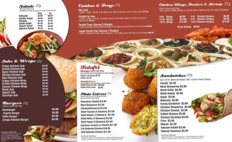 Rafic Falafel Express food