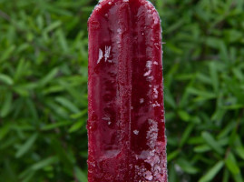The Hyppo Gourmet Ice Pops food
