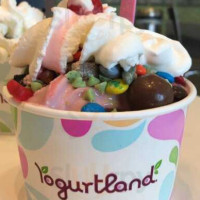 Yogurtland food