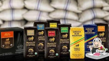 Marley Coffee Sureste Mexico inside