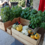 Le Tablier D'irene Essen