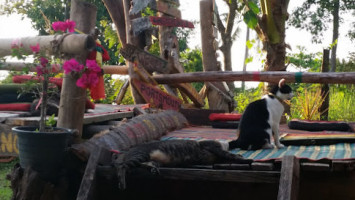 Jahrastafari Extérieur