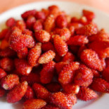 Chez l'Ami Louis Nourriture