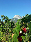 Agriturismo Busa Dei Sbrase food