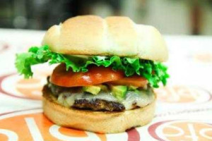 Burger Fusion Company food
