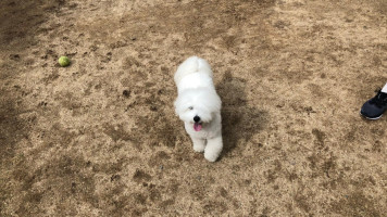 카페스토리 À l'intérieur