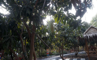 สวนลุงกบ Cafe Extérieur