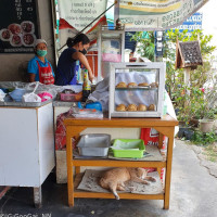 ร้านก๋วยเตี๋ยวเรือเฝอ อำเภอจุน food