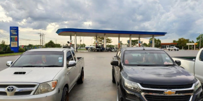 ราชาไก่บ้าน À l'intérieur