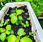 Wilsonpark Wēi ěr Sēn Gōng Yuán Nourriture