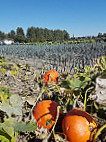 Bioboerderij Lincelam food