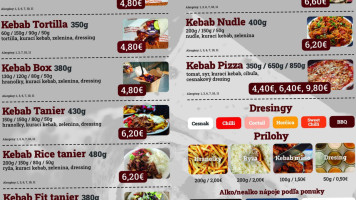 Central Pub Pizza&kebab food
