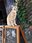 Jack's Cat Cafe menu