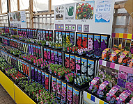 The Garden At Swarkestone Nursery outside