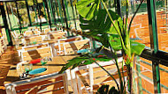 Oliva 3 Food Drinks Terrace food