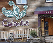 Calactus Café Restaurant Végétarien outside