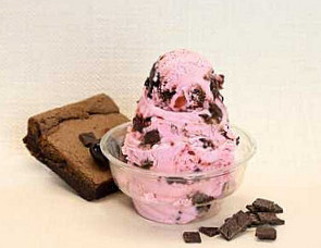 Handel's Homemade Ice Cream Yogert