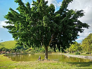 Pesqueiro Nene Oliani