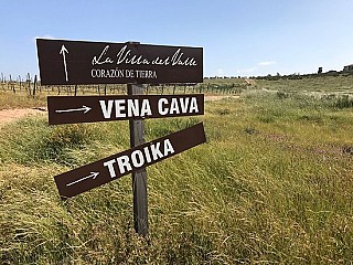 Troika at Vena Cava