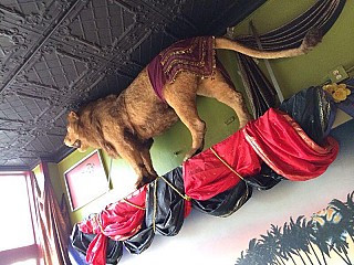 The Lion's Den Café