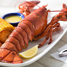 Red Lobster - Avanta