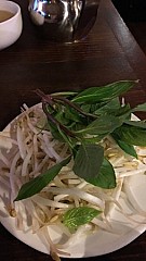 Lotus The Place for Pho Lovers