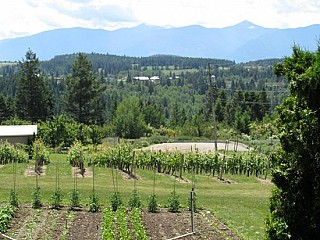 Skimmerhorn Winery and Vineyard
