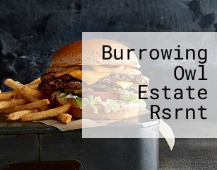 Burrowing Owl Estate Rsrnt
