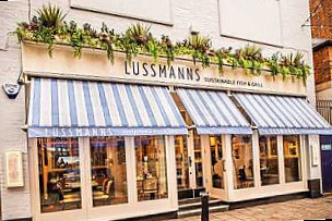 Lussmanns Oxford