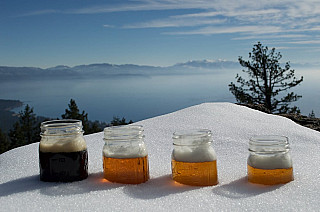 Tahoe Mountain Brewing co.