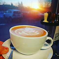 Velvet Sunrise Coffee Roasters