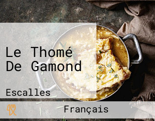Le Thomé De Gamond