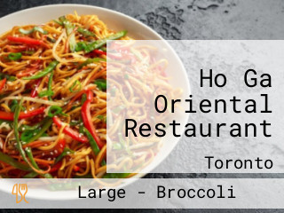 Ho Ga Oriental Restaurant