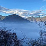 Tǎ Tǎ Jiā Cān Yǐn Bù Yún Bào Xiū Xián Yǒu Xiàn Gōng Sī