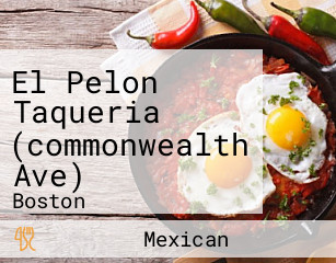 El Pelon Taqueria (commonwealth Ave)