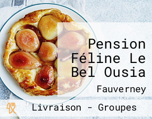 Pension Féline Le Bel Ousia