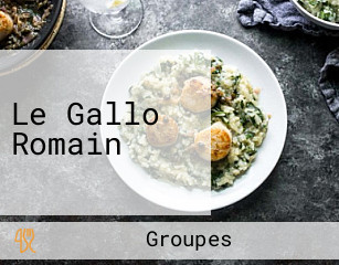 Le Gallo Romain