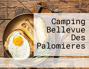 Camping Bellevue Des Palomieres
