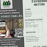 Forest Форест Форест