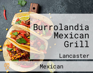 Burrolandia Mexican Grill