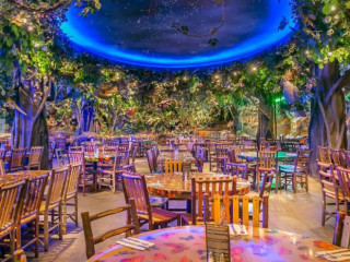 Rainforest Cafe Menlo Park Mall